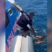 Rrezikuan jetën në det, Policia Kufitare shpëton 9 turistë të huaj
