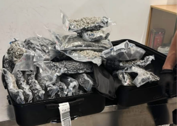 Kapen në Rinas rreth 46 kilogramë drogë, u transportuan nga një çift shqiptar