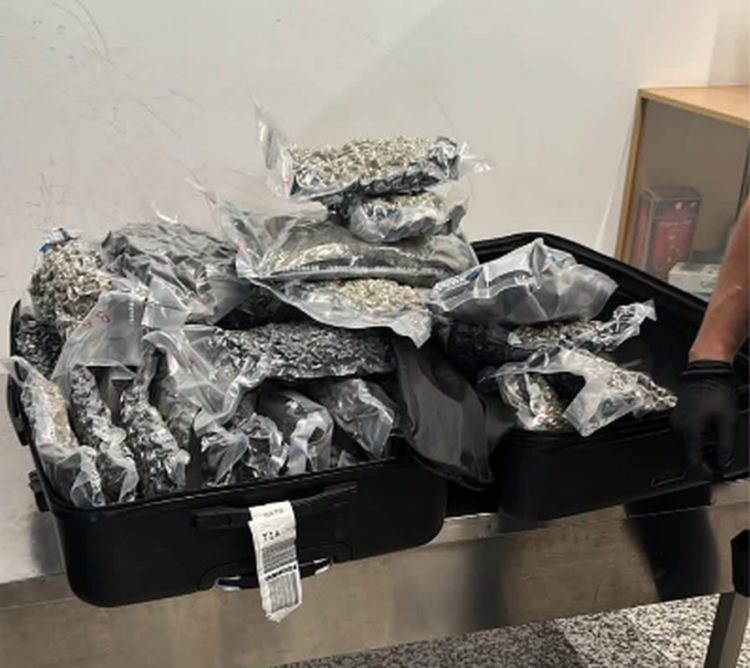 Kapen në Rinas rreth 46 kilogramë drogë, u transportuan nga një çift shqiptar