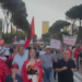 38 ditë protestë, qytetarët: Rama në burg, Berisha në burg