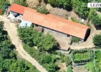 Zbulohen në Lezhë 5 ambiente për kultivimin e kanabisit