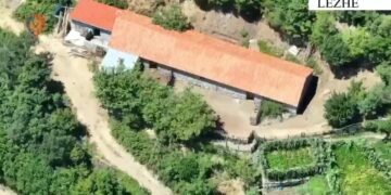 Zbulohen në Lezhë 5 ambiente për kultivimin e kanabisit