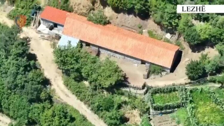 Zbulohen në Lezhë 5 ambiente për kultivimin e kanabisit