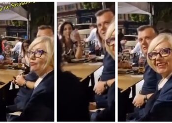 VIDEO/ Deputetët e PS kapen “mat” duke luajtur letra dhe pirë birra në Strasburg