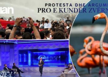 Opinion – Protesta dhe argumentet pro e kundër Zvërnecit – 3 Qershor 2026